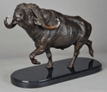 African Cape Buffalo
