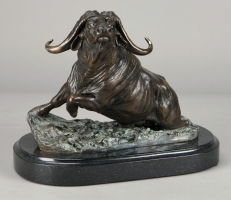 African Cape Buffalo