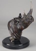 African Black Rhino