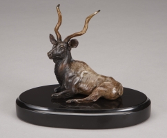 Greater Kudu Resting