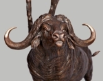 Kimatorok Bull