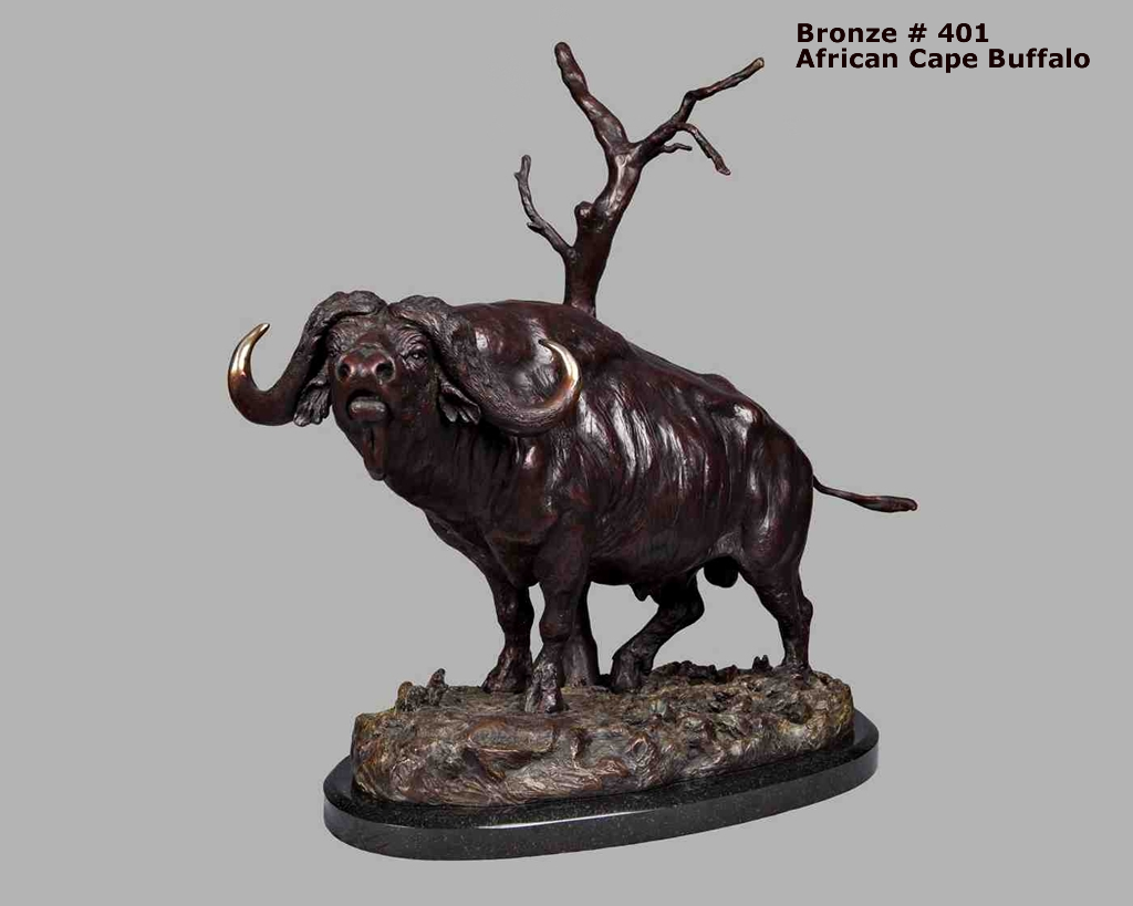 African Cape Buffalo