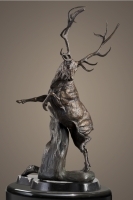 Elk