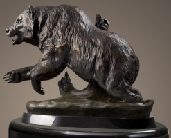 Grizzly Bear