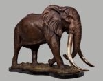 Patriarch Elephant